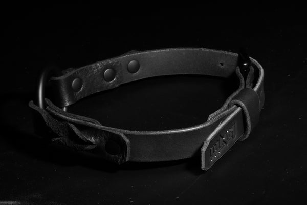 "Dark Nebula" Ecliptic Fashion Night Collar