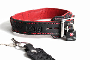 Buckles and Locking Leather Collars